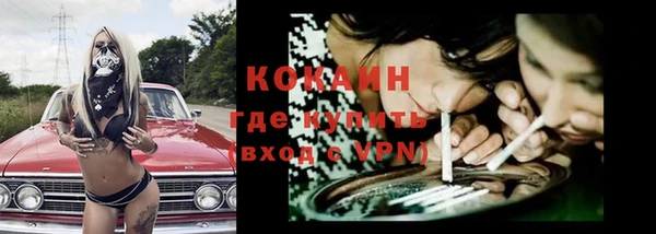 крисы Заводоуковск