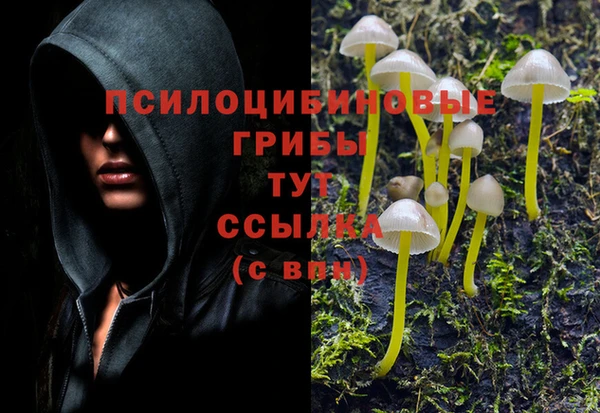 крисы Заводоуковск