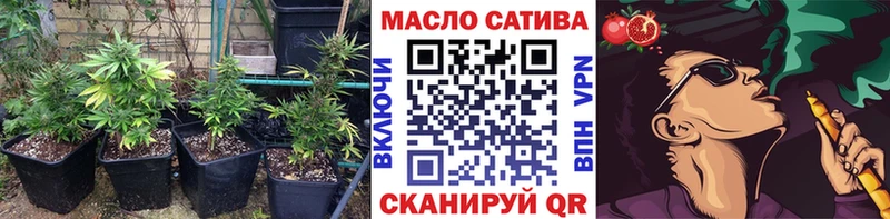 Купить где  Оленегорск  Дистиллят ТГК THC oil 