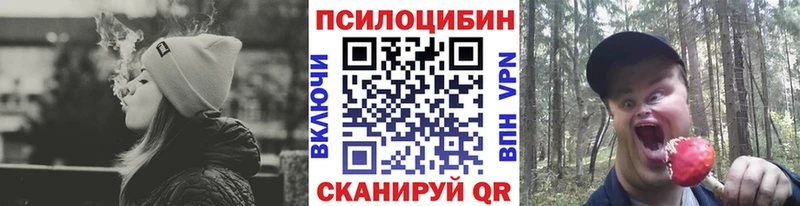 Купить где Оленегорск Галлюциногенные грибы GOLDEN TEACHER